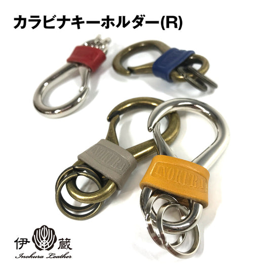 Carabiner key chain (R)